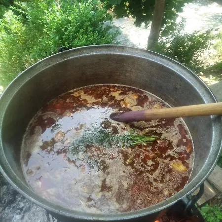 у олега-родинний двір