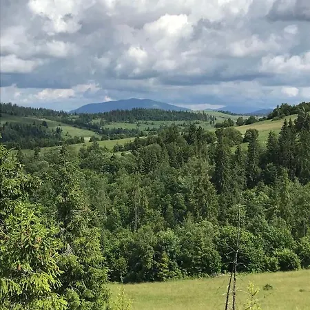 у олега-родинний двір بيت ضيافة 3*