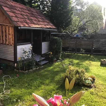 Guest house у олега-родинний двір