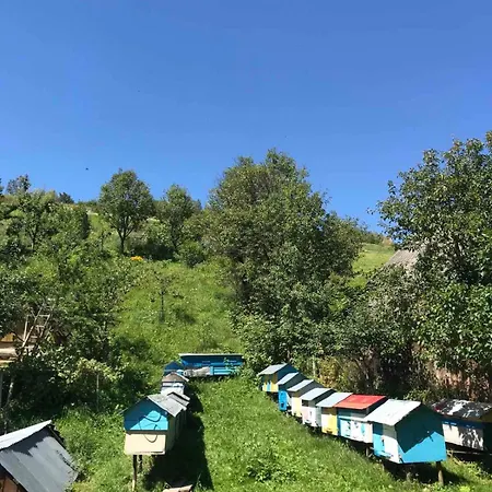 Guest house у олега-родинний двір Verkhne-Studenyy