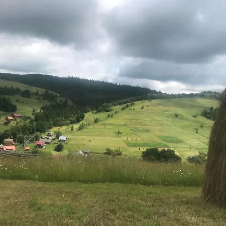 у олега-родинний двір