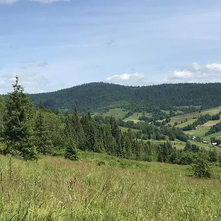 у олега-родинний двір Guest house Verkhne-Studenyy