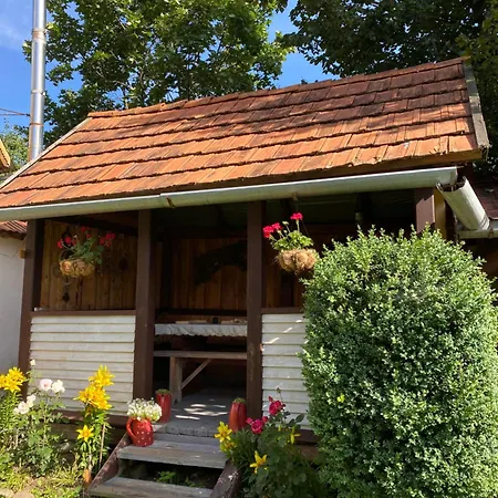 Guest house у олега-родинний двір