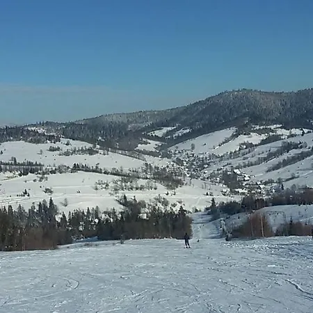 у олега-родинний двір Guest house 3*