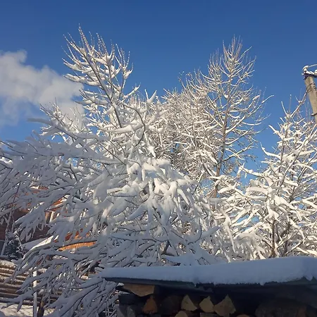 у олега-родинний двір בית הארחה