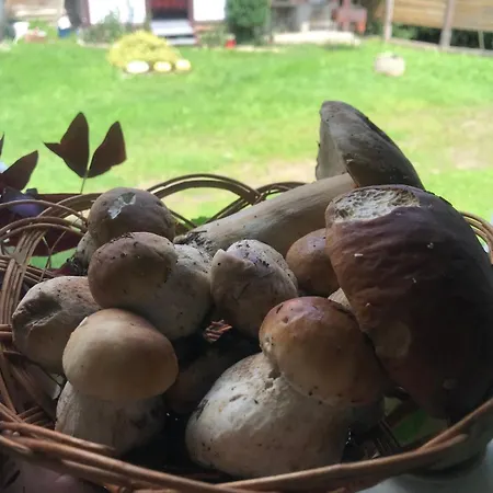 у олега-родинний двір בית הארחה Verkhne-Studenyy