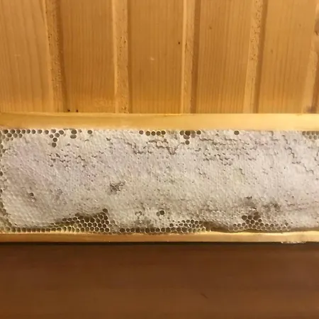 בית הארחה у олега-родинний двір 3*